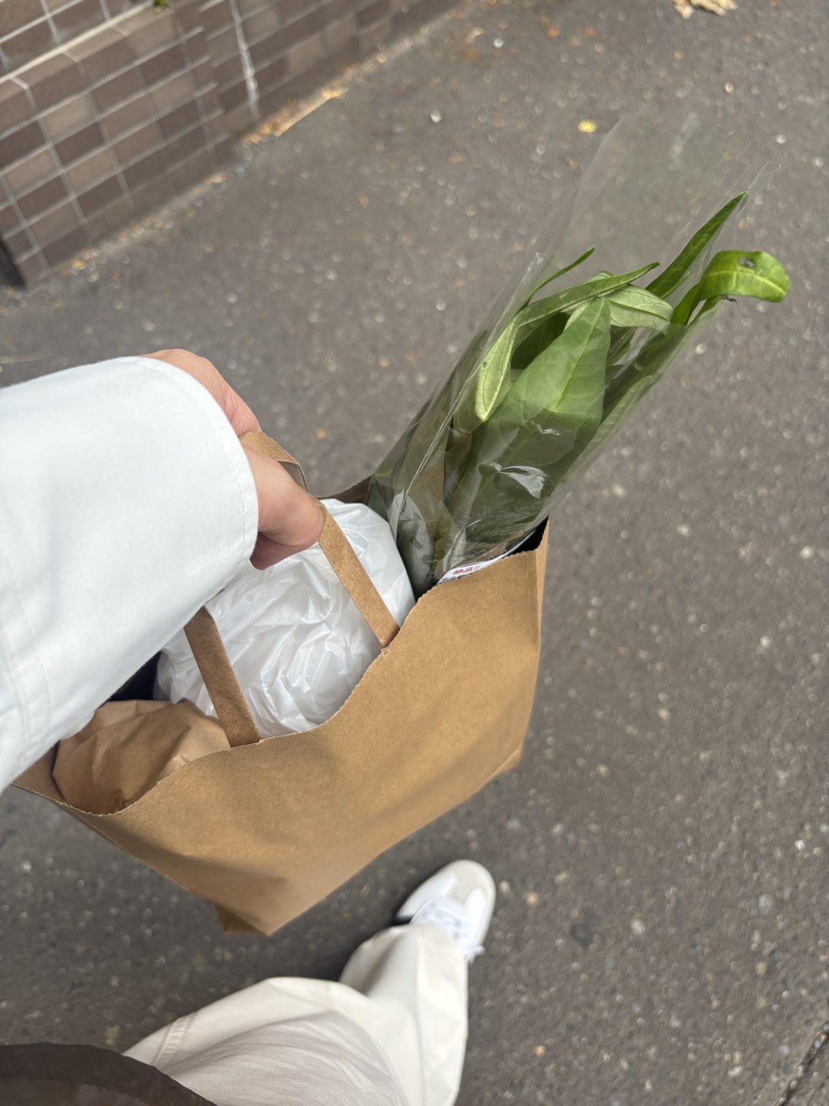 朝市で買ったお野菜が入った紙袋。葉物がのぞいている