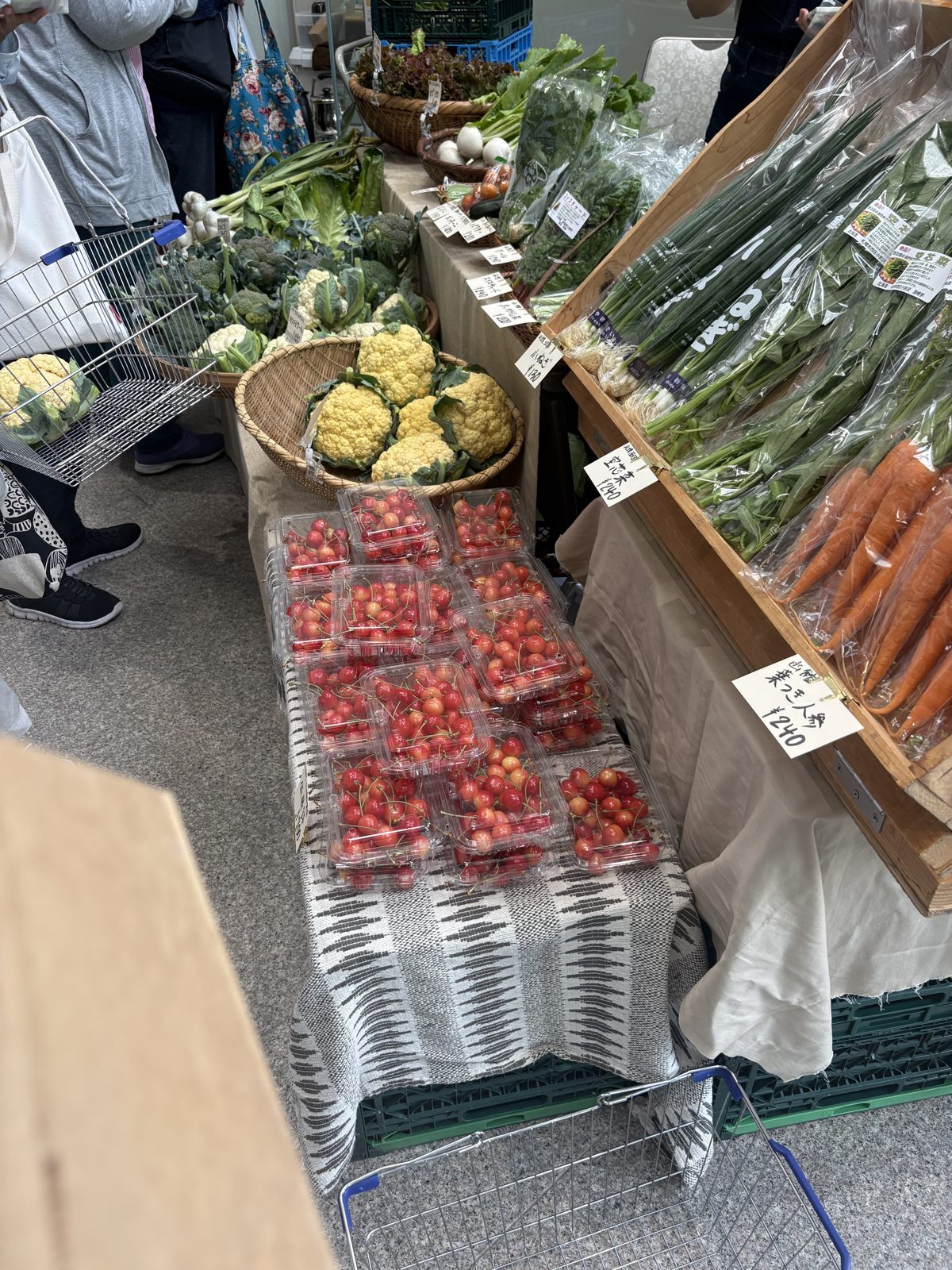 朝市に並ぶ新鮮な野菜。ミニトマトやケール、葉物野菜など