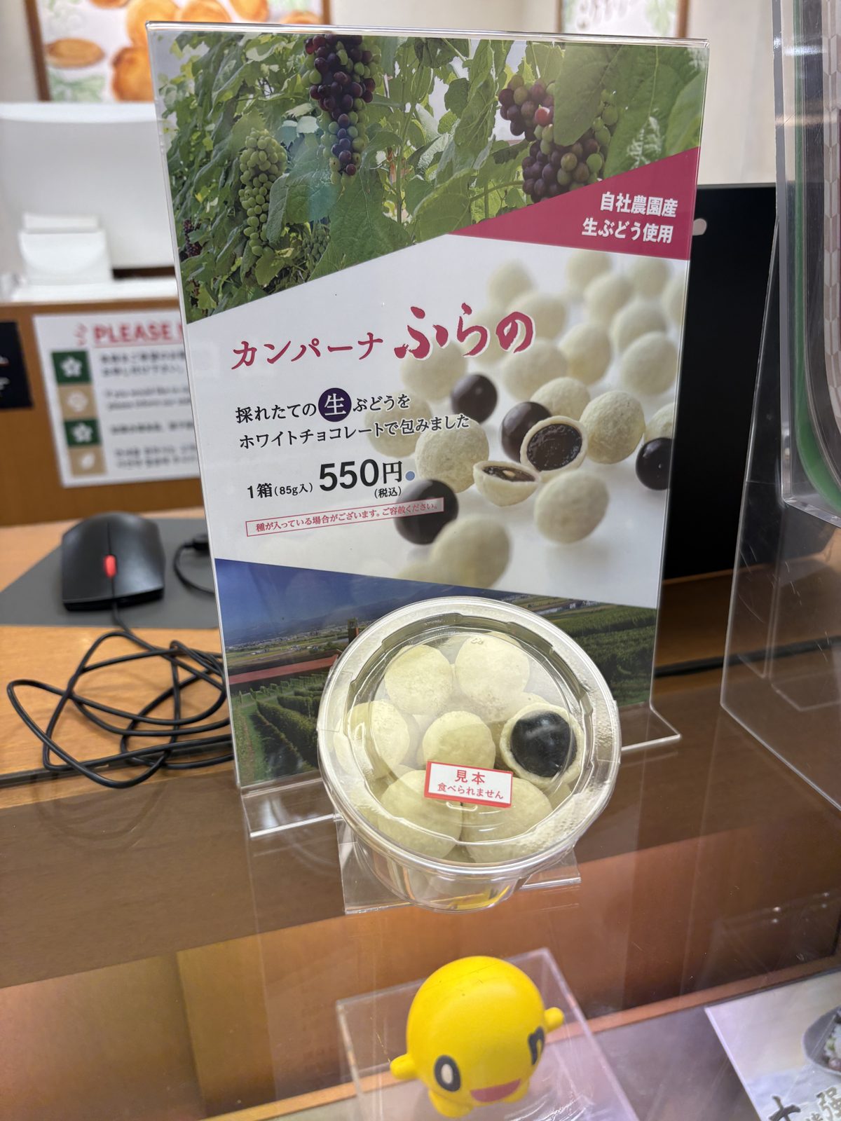 六花亭の新作カンパーナふらの550円のPOP。生ぶどうをホワイトチョコレートで包んでいる