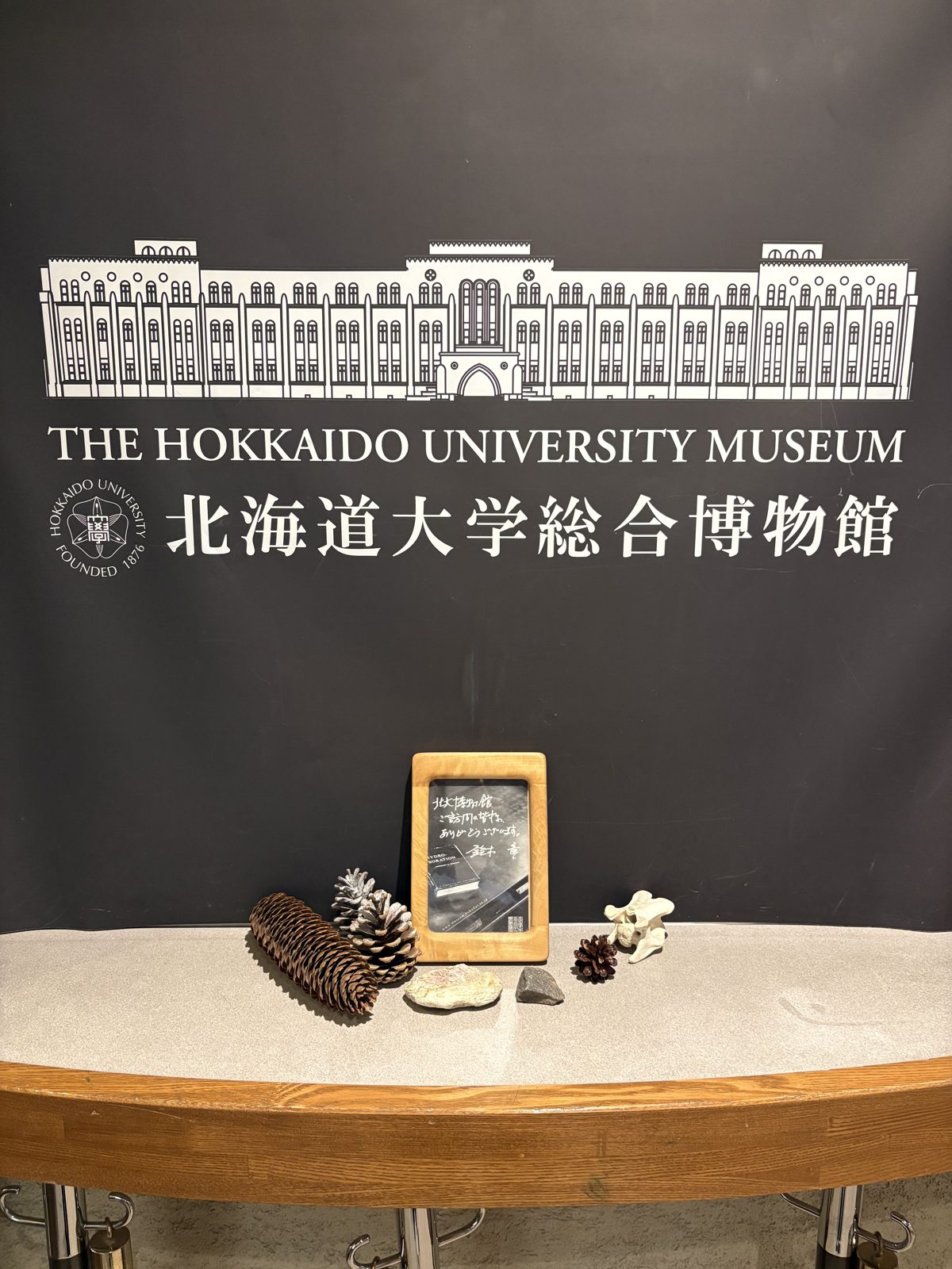 北海道大学総合博物館の館内入口。縦看板と階段