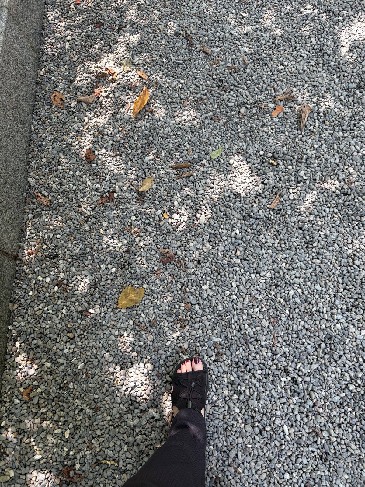 北海道神宮の参道の砂利のアップ。細かい石が敷き詰められている