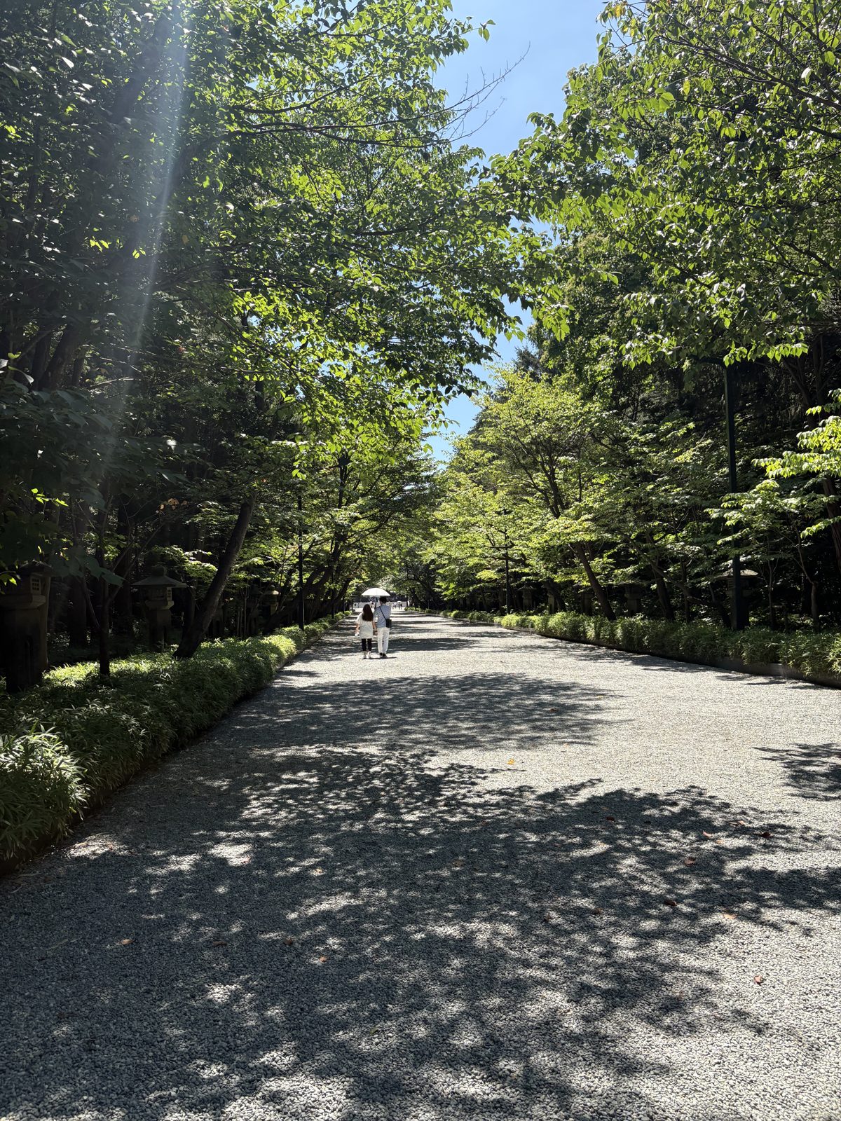 北海道神宮の参道。緑の木立に囲まれた長い砂利道