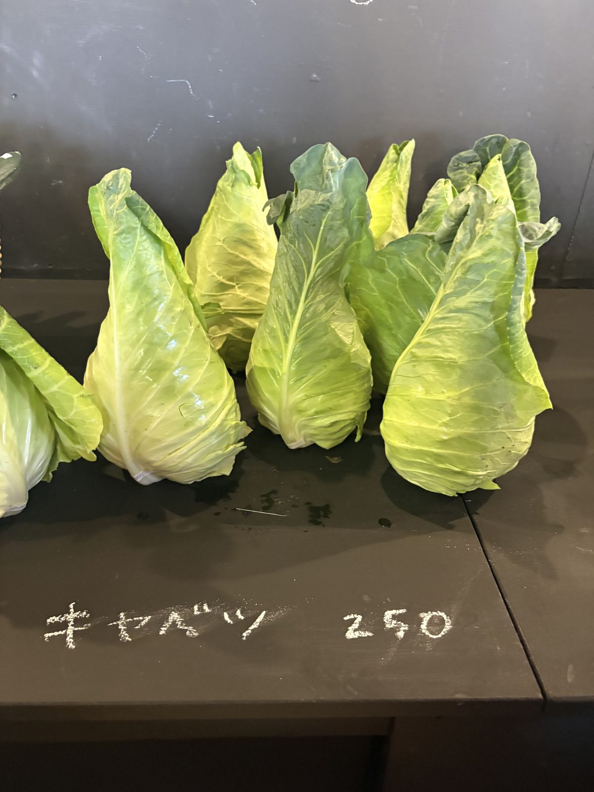 とんがり形のキャベツ250円が並ぶ