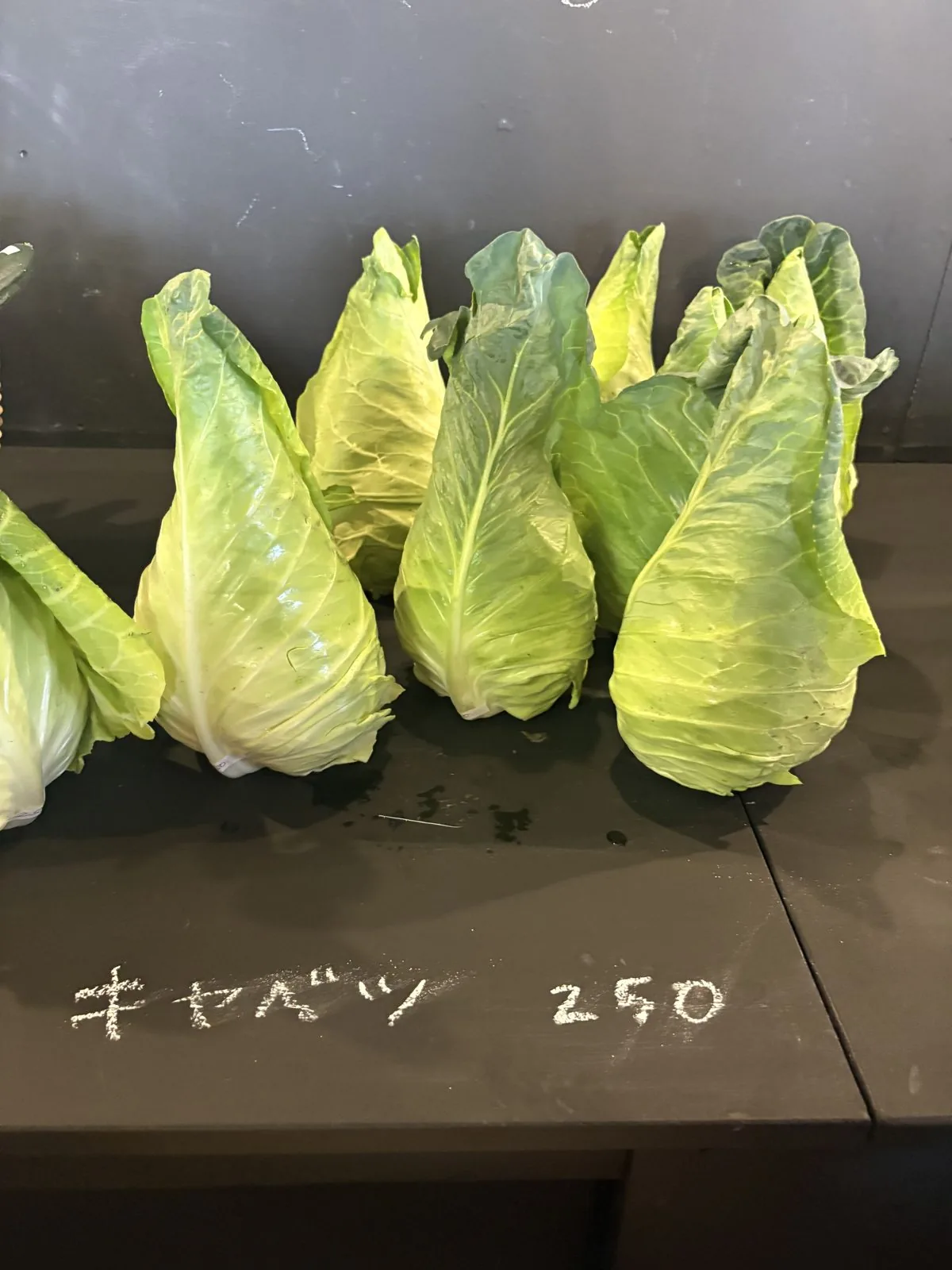とんがり形のキャベツ250円が並ぶ
