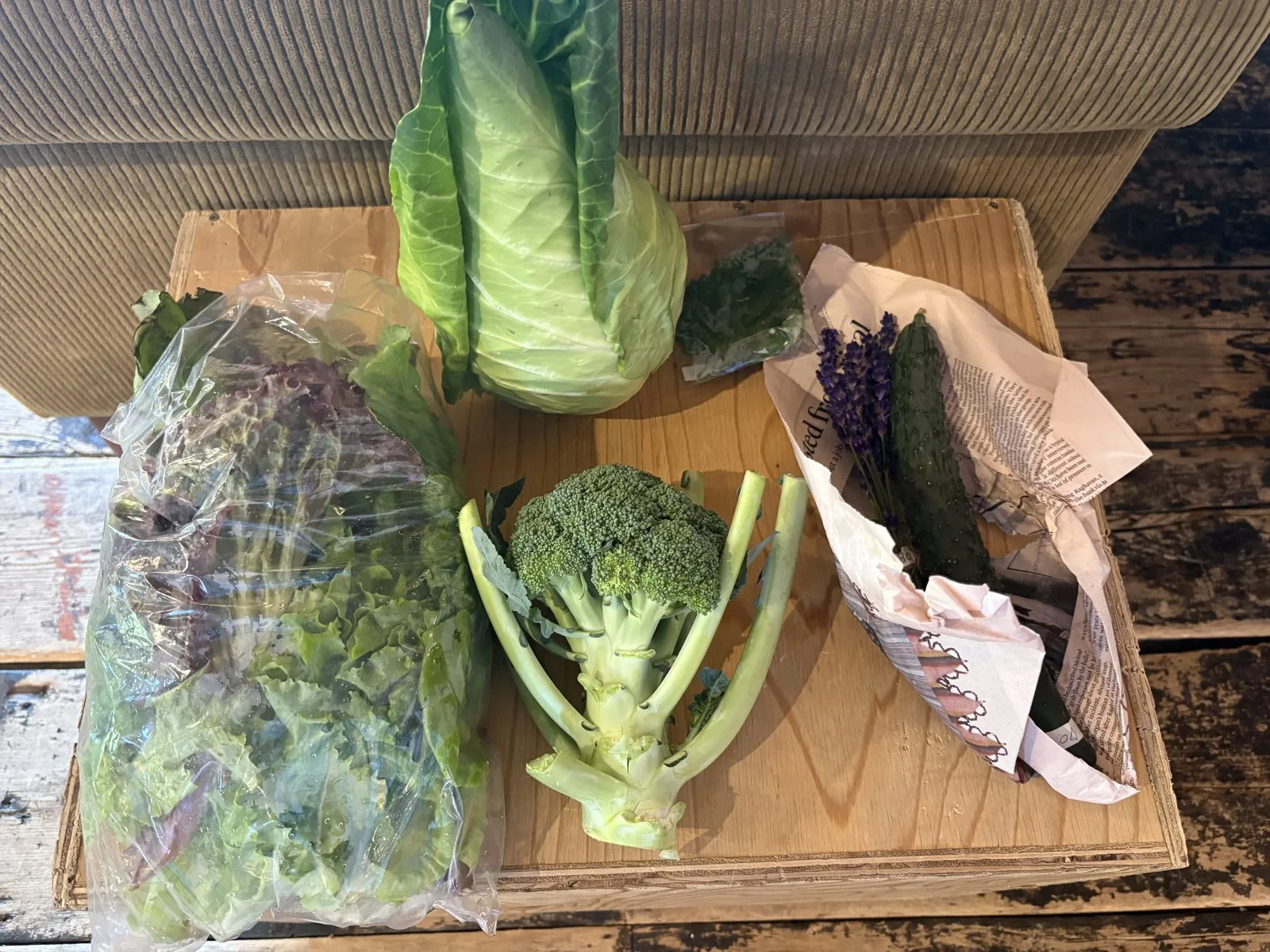 メイマルシェで買った野菜たち。Agtで撮影させてもらった一枚