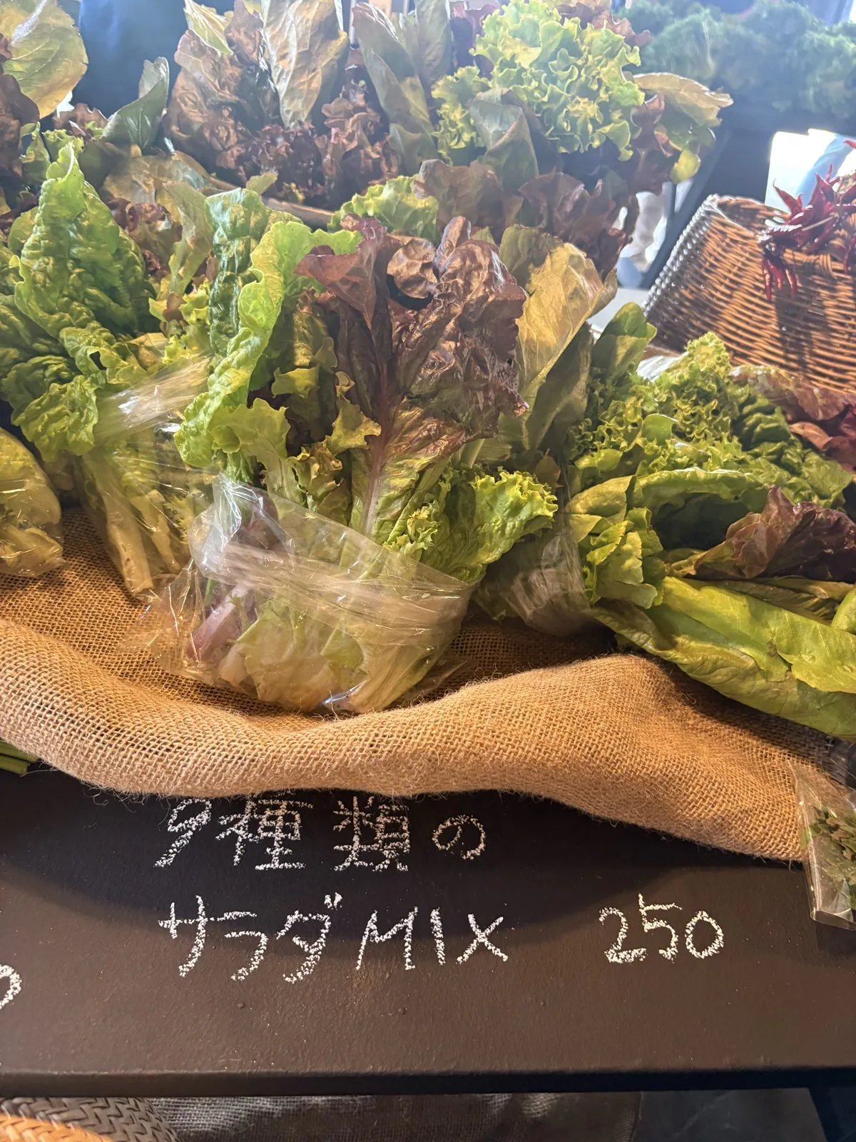 9種類のサラダMIX 250円。色々な葉物野菜が袋にたっぷり