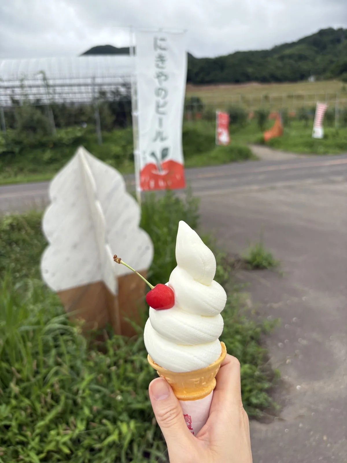 にきやの倉島牛乳ソフトクリーム。さくらんぼが1粒トッピングされている