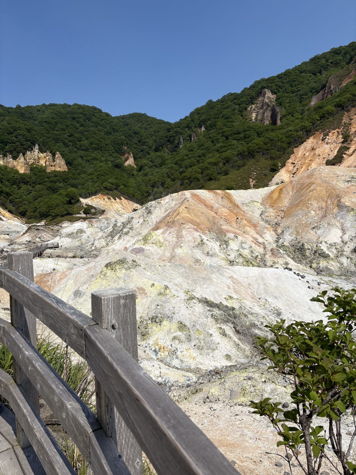 登別地獄谷の火山地形。白っぽい岩肌から湯けむりが立ちのぼる谷
