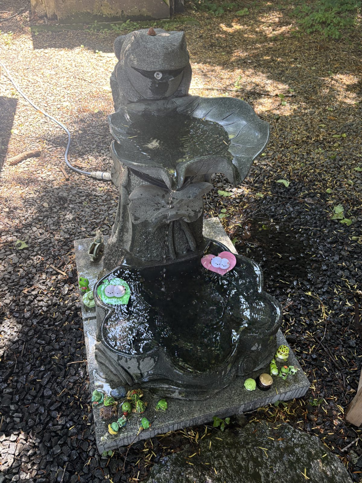 札幌諏訪神社の境内にあるカエルの石像。おみくじやお花が供えられている