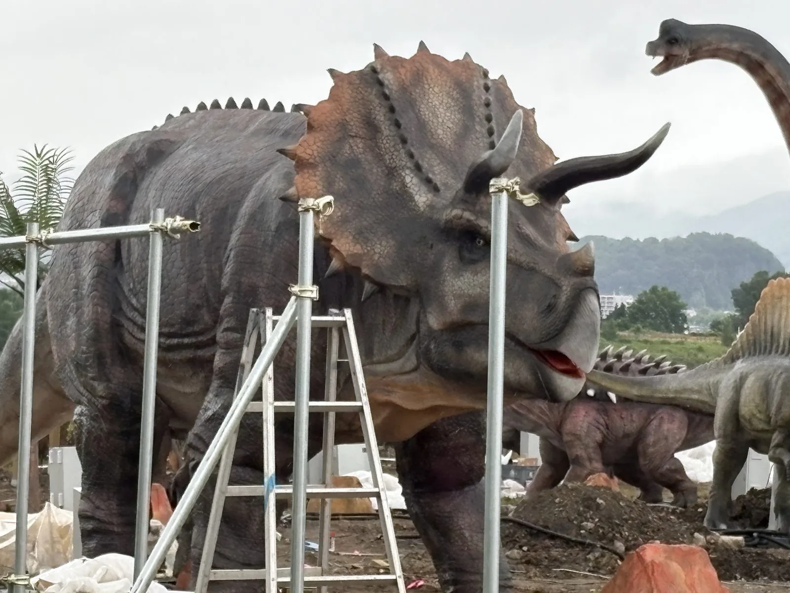 ニトリ観光果樹園の敷地内に設置中のトリケラトプスとブラキオサウルスの恐竜モニュメント。まだ足場が組まれている